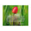 I Have Chosen Isaiah 43:10 - Wrapped Canvas Print-1991989893