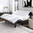 Channahon Adjustable Bed with Wireless Remote-1482727675