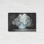 "Hortensia blanc sur une culture noire" par Carol Rowan-1905745747