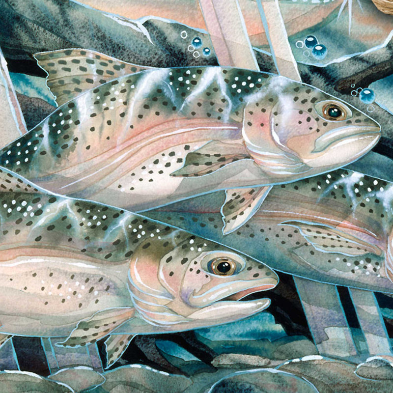 Art mural Midgett Catch The Rainbow, Trout