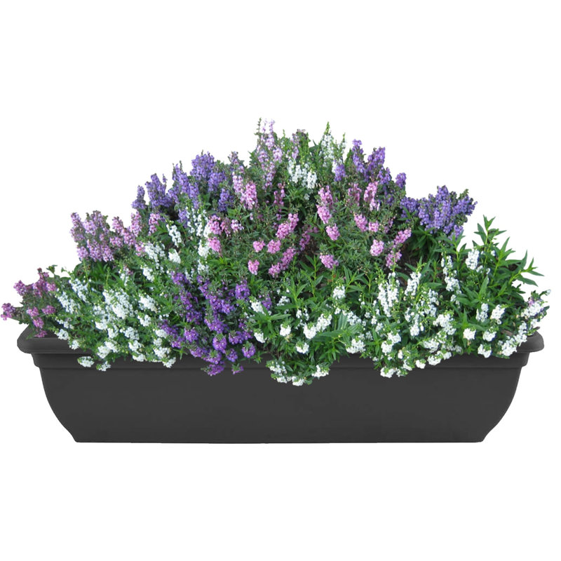 Planter Box, Black