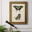 Butterfly Profile III - Peinture sur toile encadrée-2118965868