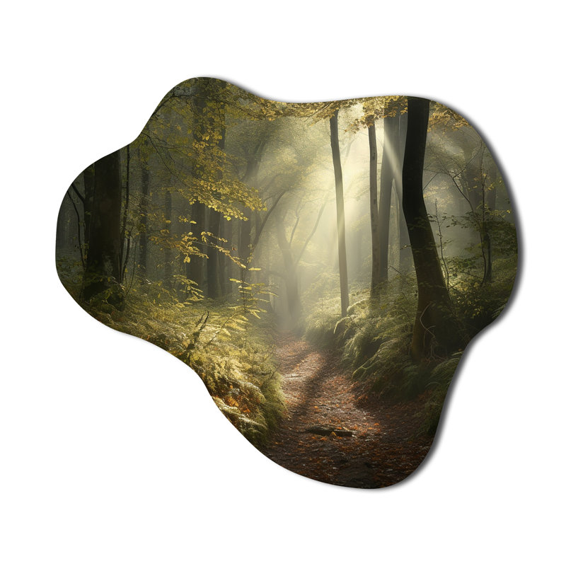 Sculpture murale en métal Misty Trail In The Woods I, H 25 po x l 28 po x P 1 po