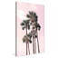 «Pink Tropics» par Natalie Carpentieri - photographie-688080114-688080127