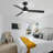 Bubacarr  48'' Matte Black Ceiling Fan with LED Light and Remote Control