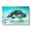 Manatee Painting - Wrapped Canvas-63999940