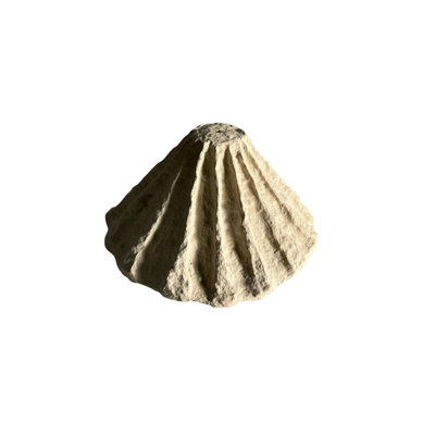 Structure de papier mâché pendentif lumière seulement 15 "de diamètre