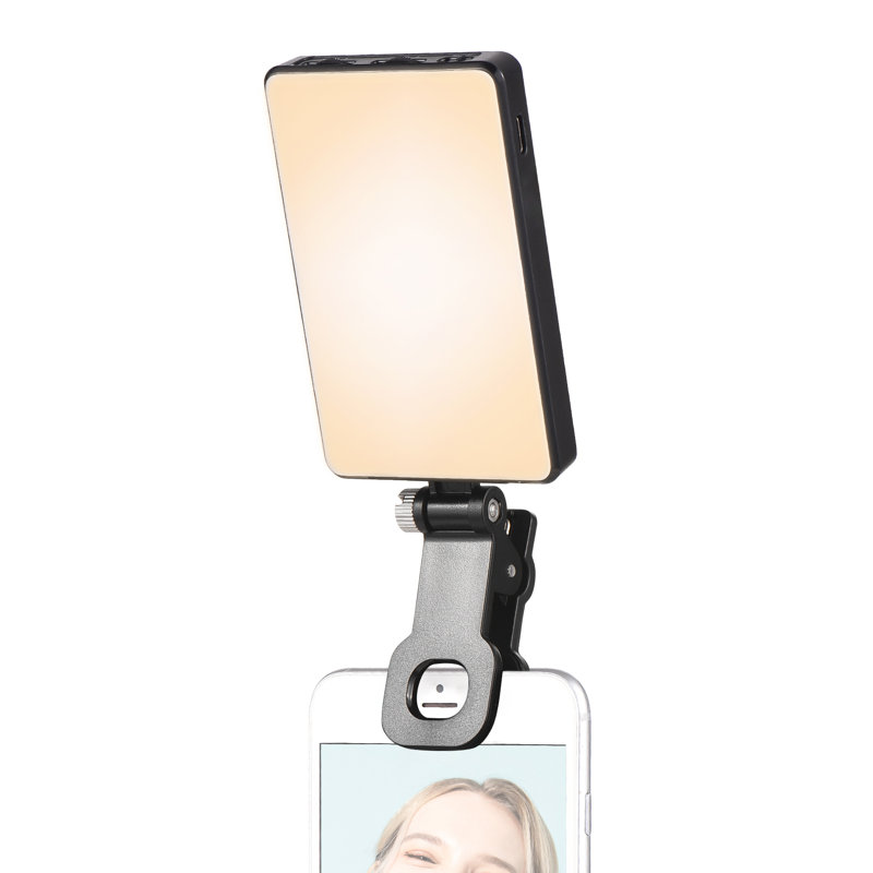 Plug-in Table Picture Light