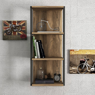 Geertruida 4 Piece Industrial Pipe Shelves