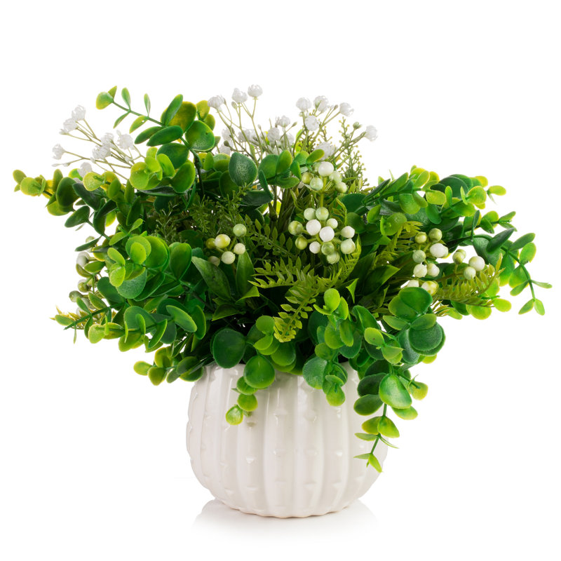 Herbe d'eucalyptus 11 po dans un vase