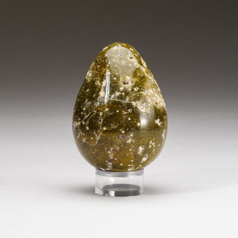 Genuine Polished Ocean Jasper Egg (0.4475 Lbs)
