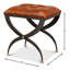 Leather Accent Stool