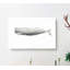 Sperm Whale by C.M. Scammon - Wrapped Canvas Drawing - Wrapped Canvas-55329520