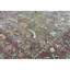 Cornwall Wool Oriental Indoor Rug