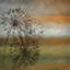 Parvez Taj - Wrapped Canvas Print-15885991