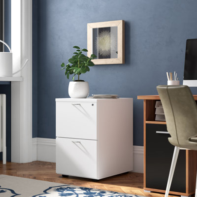 Buariki 46.4cm Wide 2 -Drawer File Cabinet
