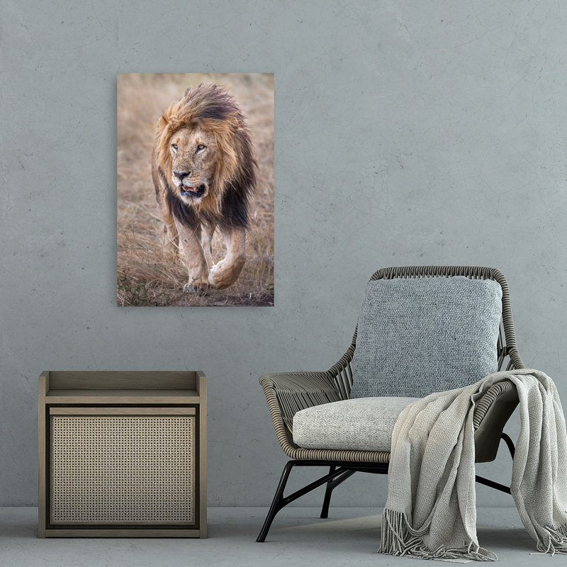 Majestic African Lion Contemporary Wall Art Print by Jeffrey C. Sink - 1 Piece Wrapped Canvas Wall Art, 91.44cm H x 60.96cm W