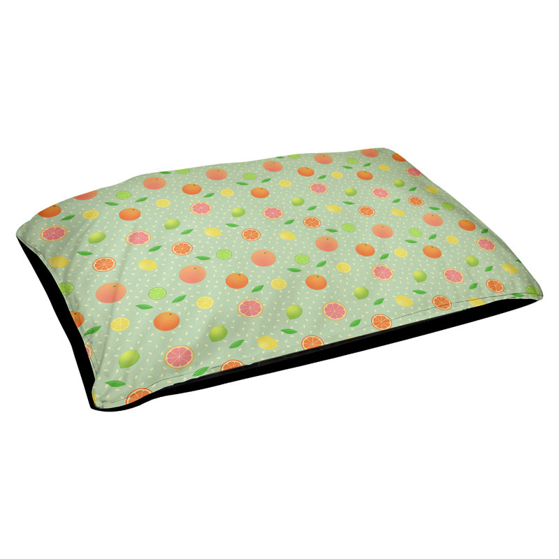 Coussin pour chien agrume fruit Byrge, Moyen (l 29,5 po x H 19,5 po x P 9,5 po), Vert menthe