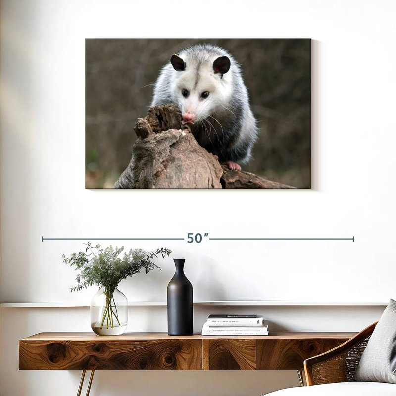 Brampt Opossum, 24" H x 36" W