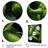 " Jade Green Pepper Vegetable I "-1917247079-1917247078
