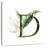 Keiri Tropical Leaves Letter D