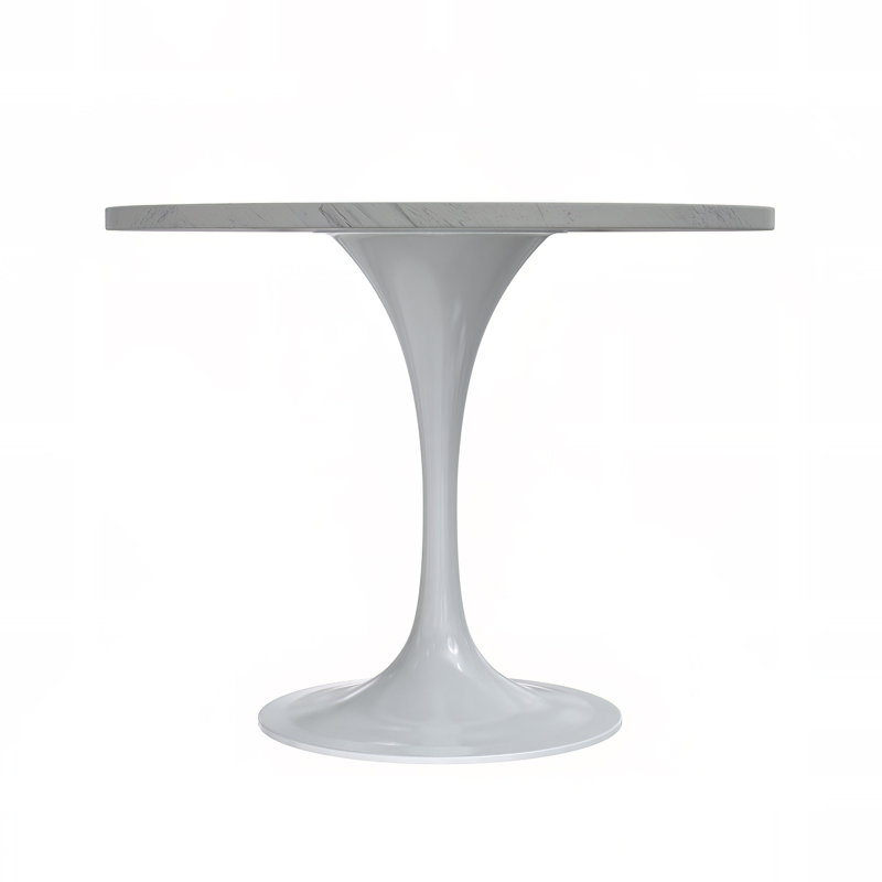 Kristifer Round Dining Table with Resin Top and White Stainless Steel Pedestal Base Kitchen Table - Seats 2-6 Person for Kitchen, Dining Room, Cafes