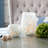 Painted Glass Candle Holder Vase-324327111