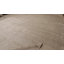 Textural Hand Knotted Area Rug