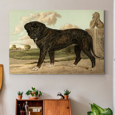 Mastiff - Wrapped Canvas Print