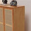 Modern large storage shoe cabinet-75122982