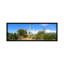 Panoramic Tucson, Arizona, reproduction de photo sur toile-491057289-428440531