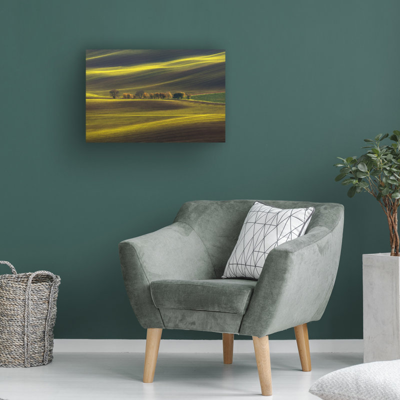 Bolog Vlad Sokolovsky Threads Of Light Canvas Art, 12" H x 19" W