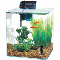 Buy High Quality Glass Fish Tanks Online at the Cheapest Price