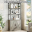 186.9cm H x 80cm W Bookcase-1786884573