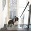 Barrière pour animaux autoportante-126560177