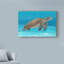 « ocean sea turtle i », reproduction de peinture à l’acrylique sur toile tendue-33416437