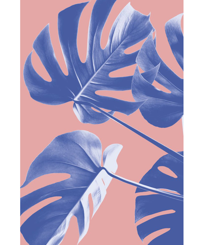 Monstera 06, 50.8cm H x 76.2cm W