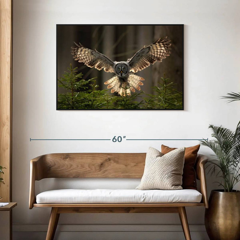 Hibou volant Brampt, H 29 po x l 43 po