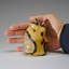 Septarian Crystal