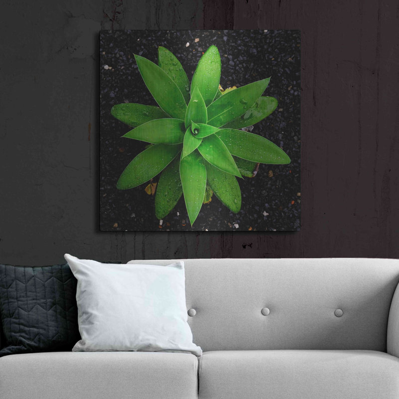 36 po x 36 po, Ebern Designs «The Green Bloom Crop» par Epic Portfolio, art mural en métal, H 36 po x l 36 po