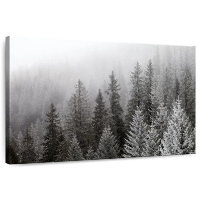 Brume d'hiver Alvord