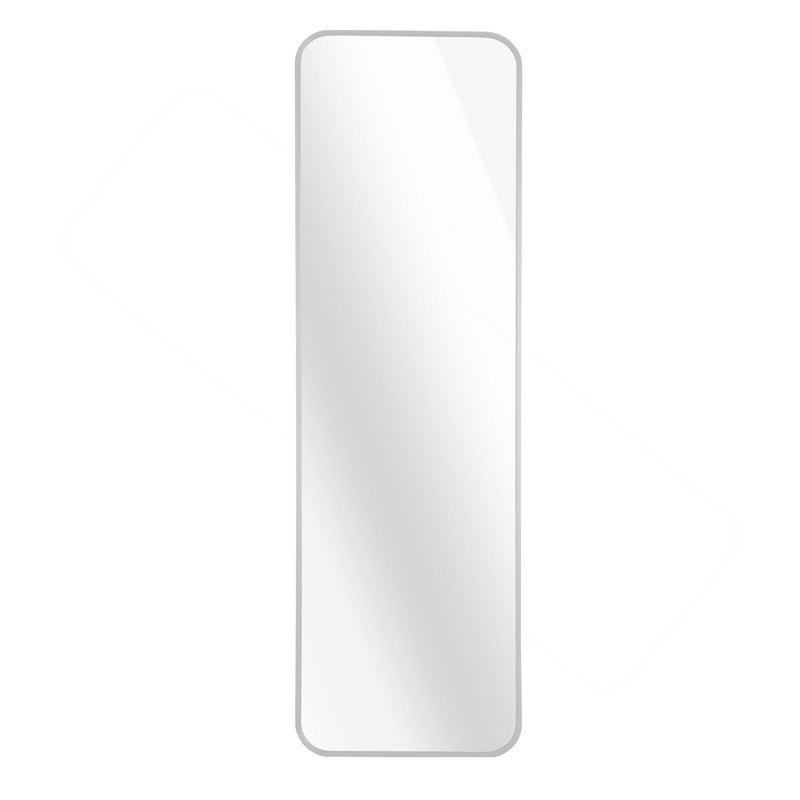Accent Door Mirror., Silver
