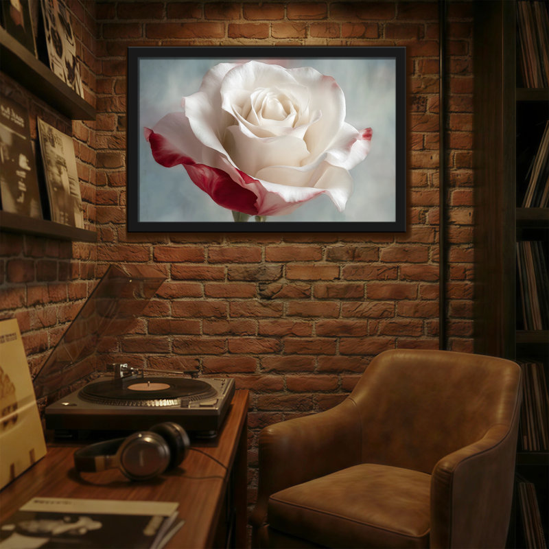 Plantes et fleurs - rose blanche avec bords rouges en gros plan