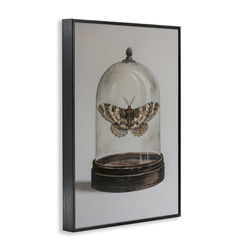 «Moth in Glass», estampe numérique par Petal Prints Design, Giclée encadrée noir minuit, H 18 po x l 12 po