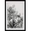 « round succulent radicales », impression encadrée sur papier-202662138