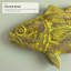 Poisson truite moucheté - jaune patiné