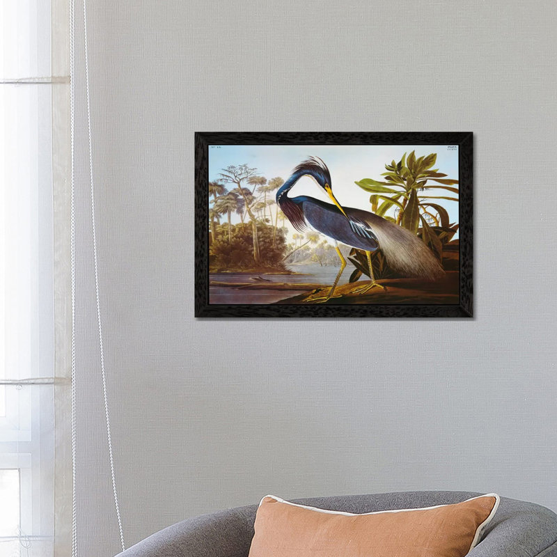Louisiana Heron From "Birds Of America" by John Audubon - Painting on Canvas, 66.04 cm H x 45.72 cm W, Black Framed