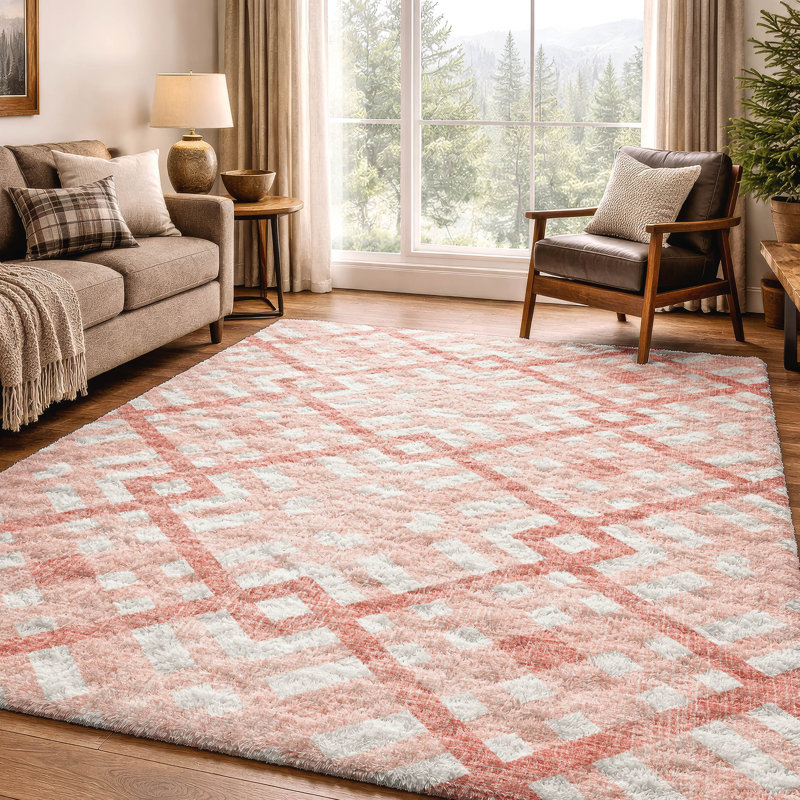 Tapis à poil long de qualité supérieure lavable à la machine ADS616, Salmon, 3' x 5'