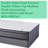 Alwyn Home Ornithogale 20'' Plush Memory Foam Mattress and Box Spring-49180182