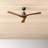 Gerda 52'' Ceiling Fan-88061654-88061653